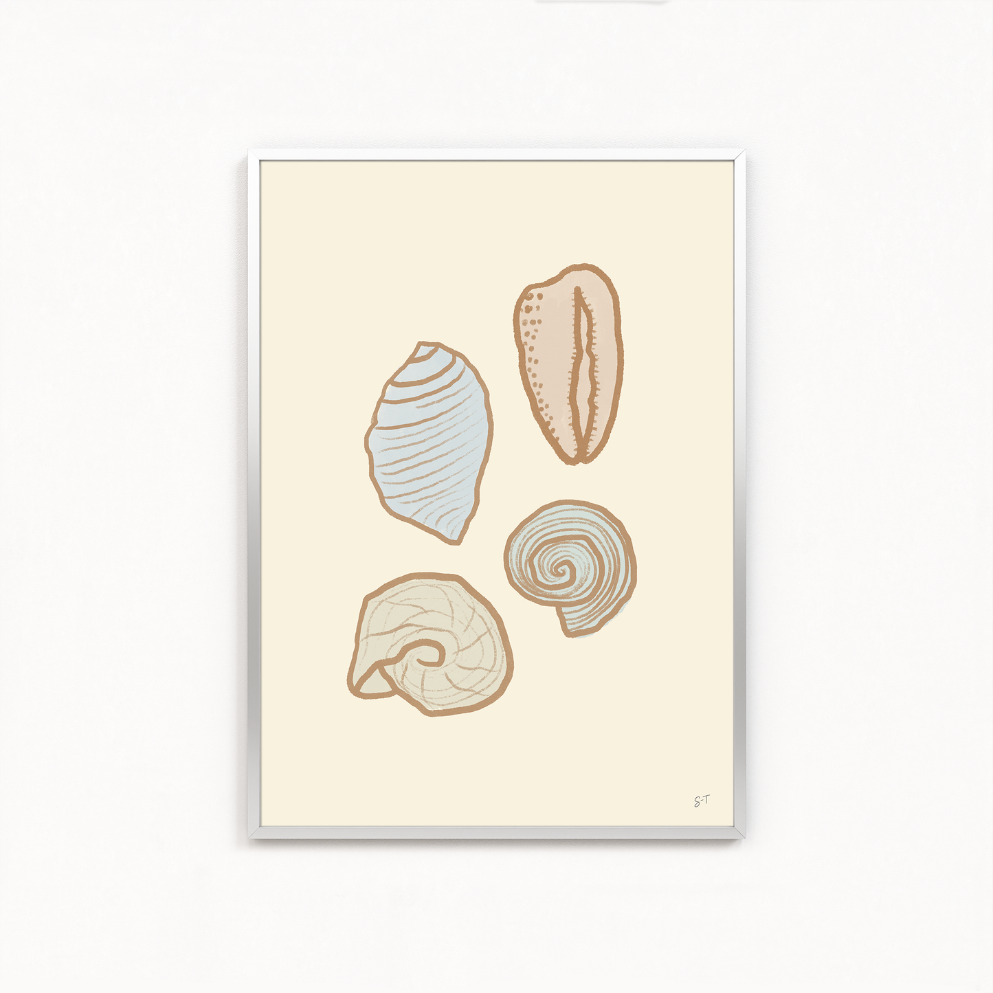 PASTEL SHELLS