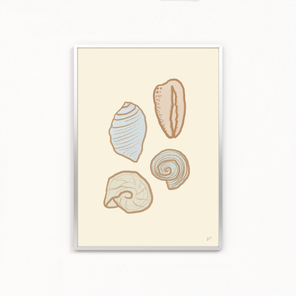 PASTEL SHELLS