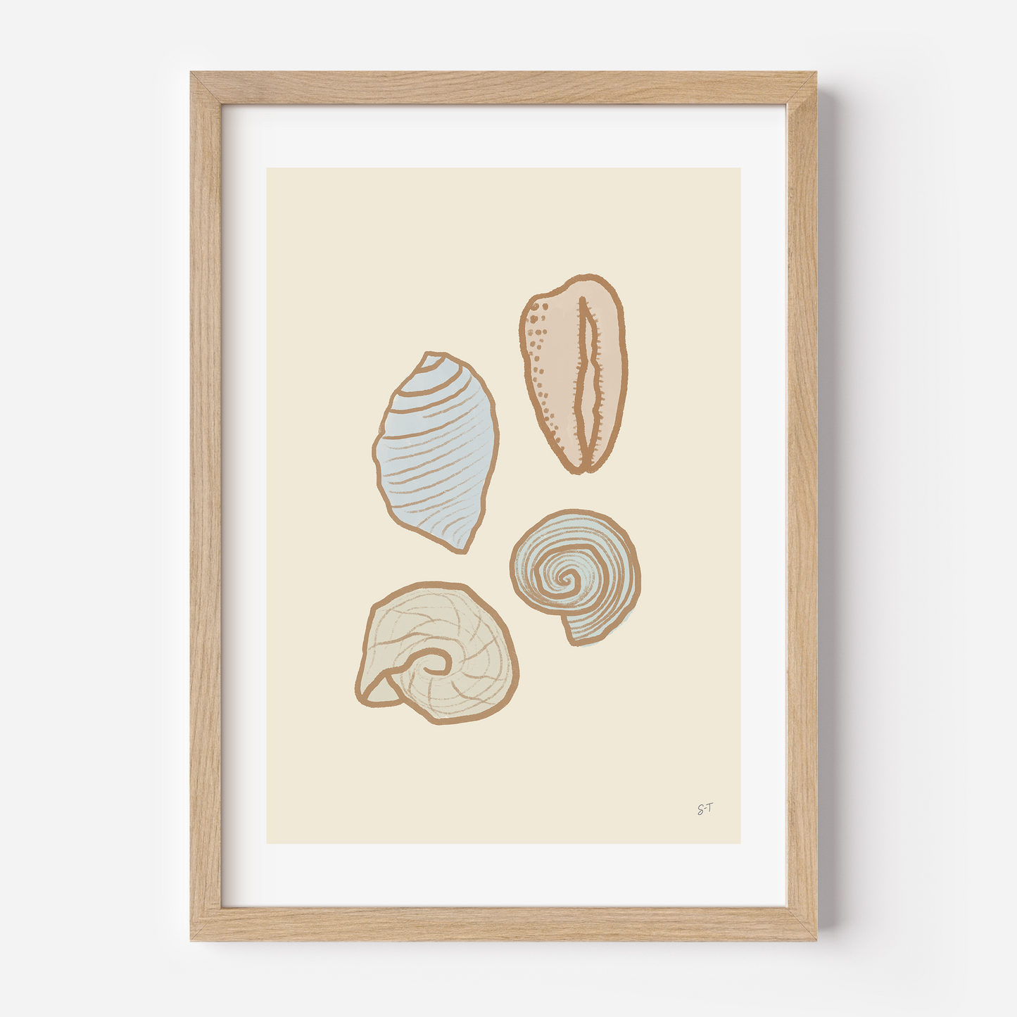 PASTEL SHELLS