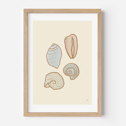 PASTEL SHELLS