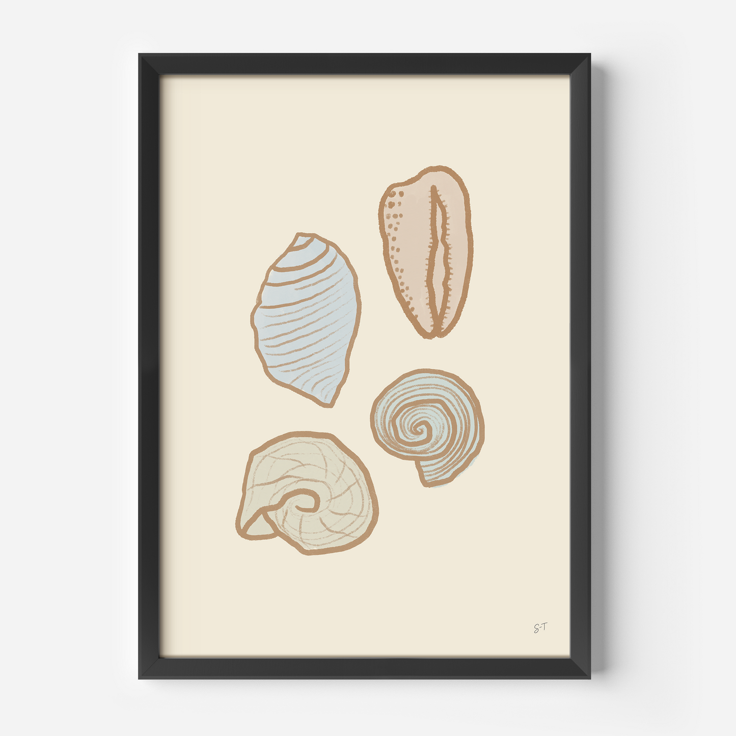 PASTEL SHELLS