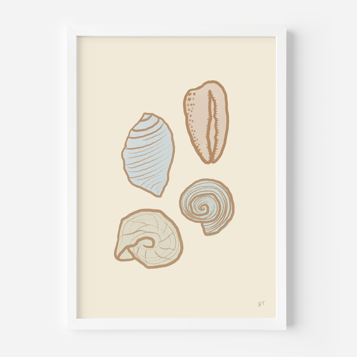 PASTEL SHELLS