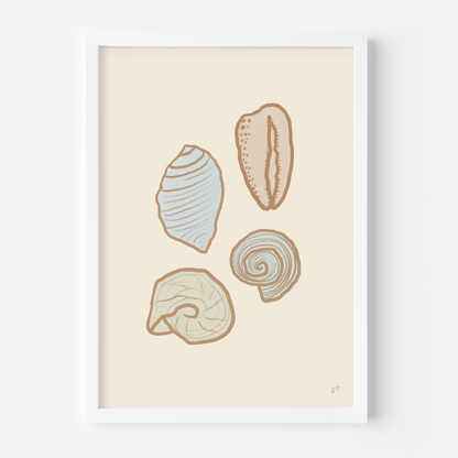 PASTEL SHELLS
