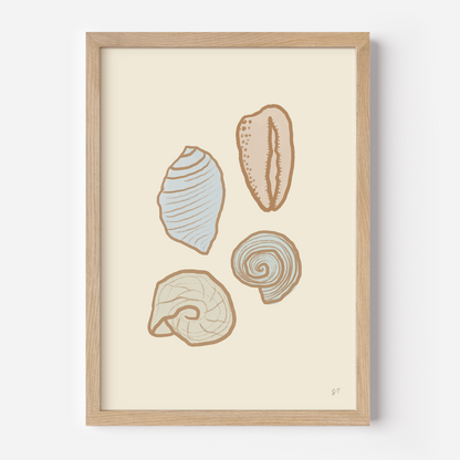 PASTEL SHELLS